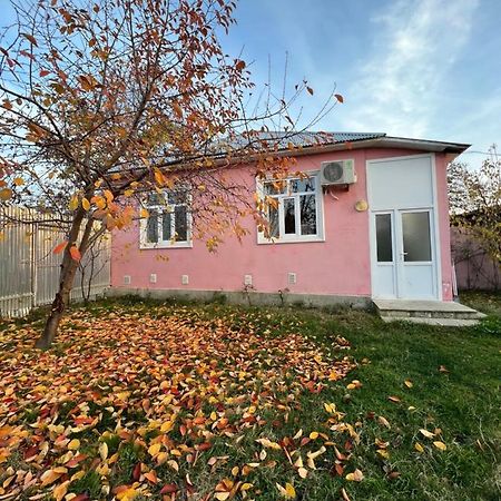 Qafqaz Resort Family House Gabala Exterior foto